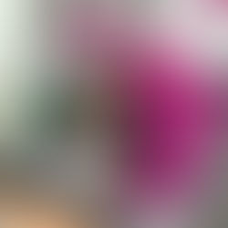 Poppyland Radio broadcast live from the Vattenfall Explorium Marquee in Norwich