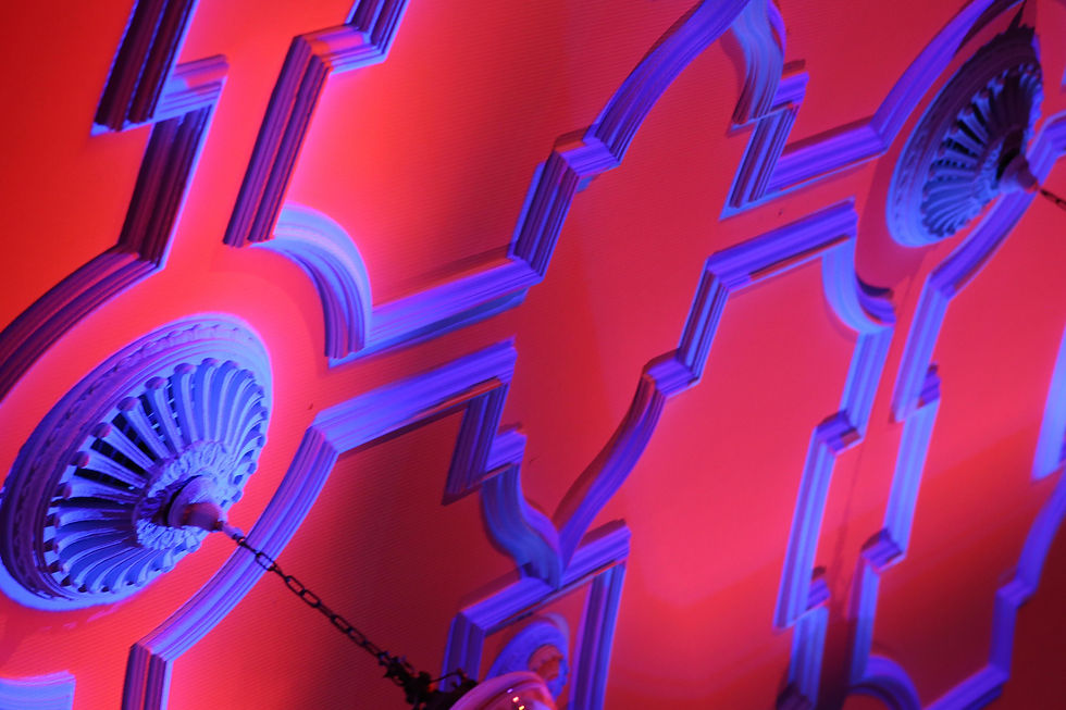 TM_II_ceiling_red&blue_sm _edited.jpg