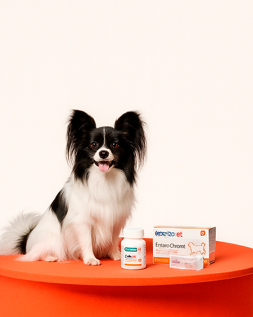 GATO-3.png