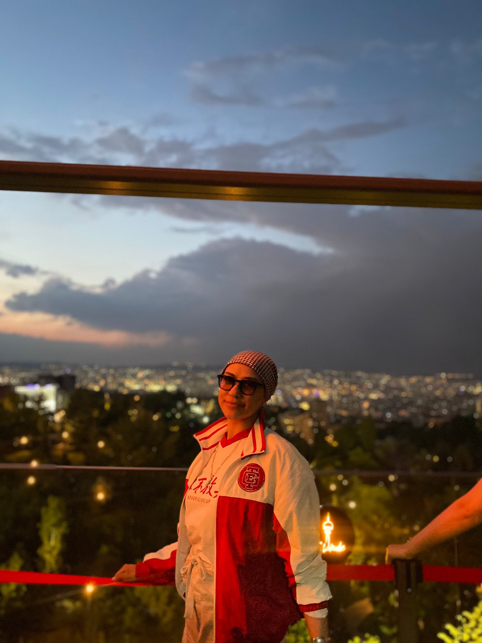 An image illustrating the style reference input of the user