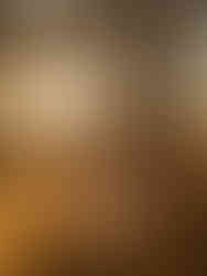 dreamy motherhood portrait in the woods