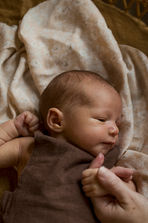 In-home newborn photography session in Cary, North Carolina.