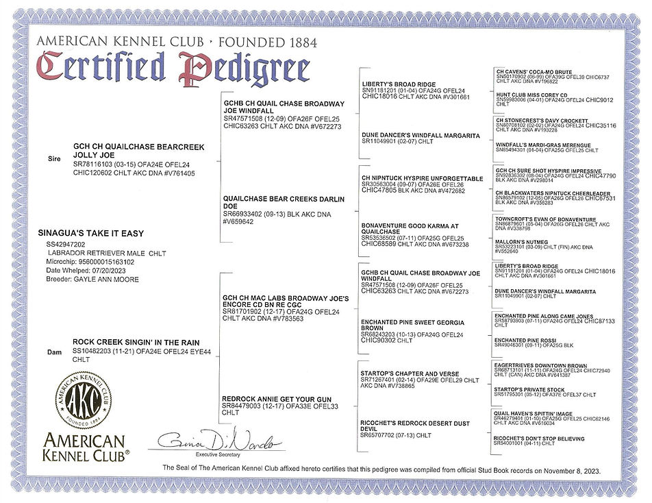 Winslow Pedigree Chart.jpg