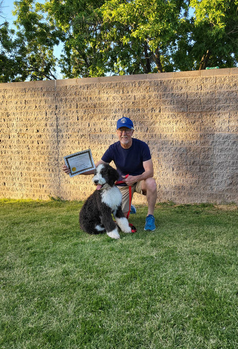 Man kneeling on grass holding a 6 Paws Training Camp certificate next to a black and white dog on a red leash, with a brick wall and trees in the background - 6 Paws Training Camp Tucson AZ