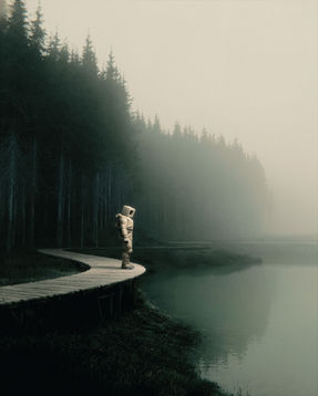 Pine Bridge Illustration