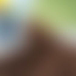 Update RPP Certification