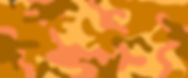 camo banner.jpg