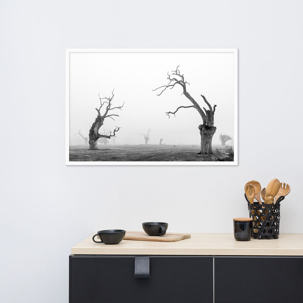 Thumbnail: Trees in Fog Framed photo paper poster