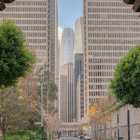 Growing Media Europe shows importance of growing media in reaching EU nature restoration targets