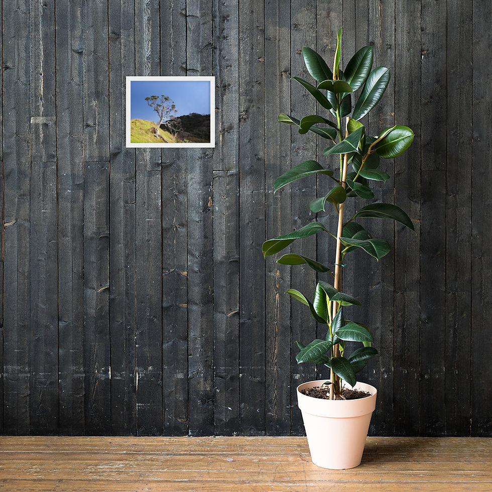 Thumbnail: Mountain Tree Enhanced Matte Framed Poster