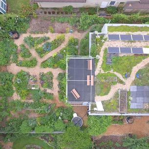 Permaculture and Climate Resilience: An Interview with Andrew Millison