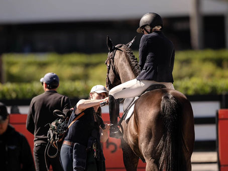 Rise of the Horse Industry Freelancer