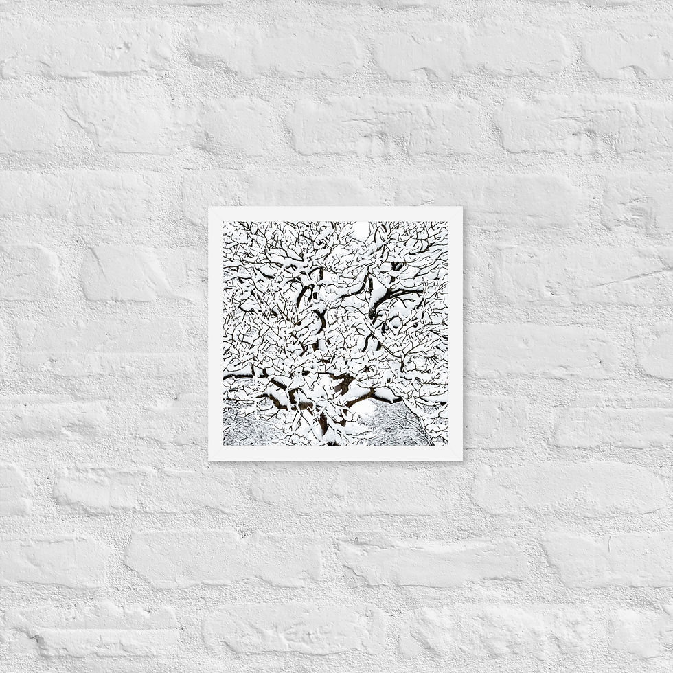 Thumbnail: Snow Tree Framed photo paper poster