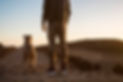 A man in camo pants and his obedient dog stand outside