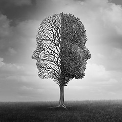 bipolar tree image.jpg