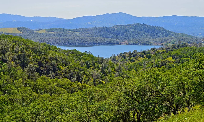 Lake Hennessey in April.