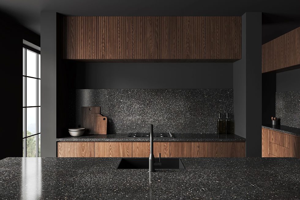 Dark kitchen interior.jpg