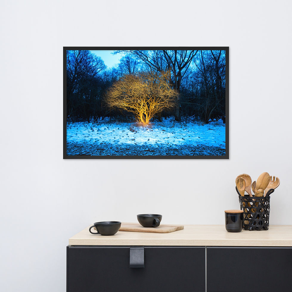 Thumbnail: Portberry Tree Enhanced Matte Framed Poster