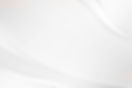 white background 3.jpg
