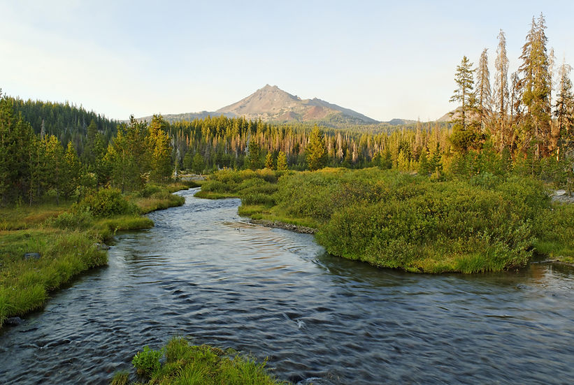 NW Psychiatry Eugene Oregon Eugene Psychiatrist