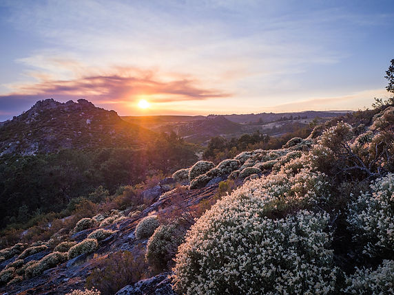 Spring on a rocky hillside at sunrise