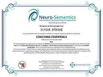 ISNS NLP CE Cert .jpeg