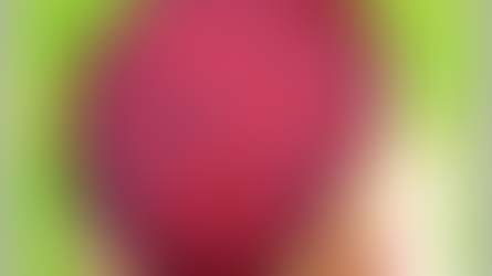 Blog #4 Preservation - Red Beetroot Fermentation