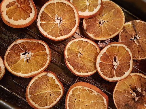 20190606_221447_edited.jpg