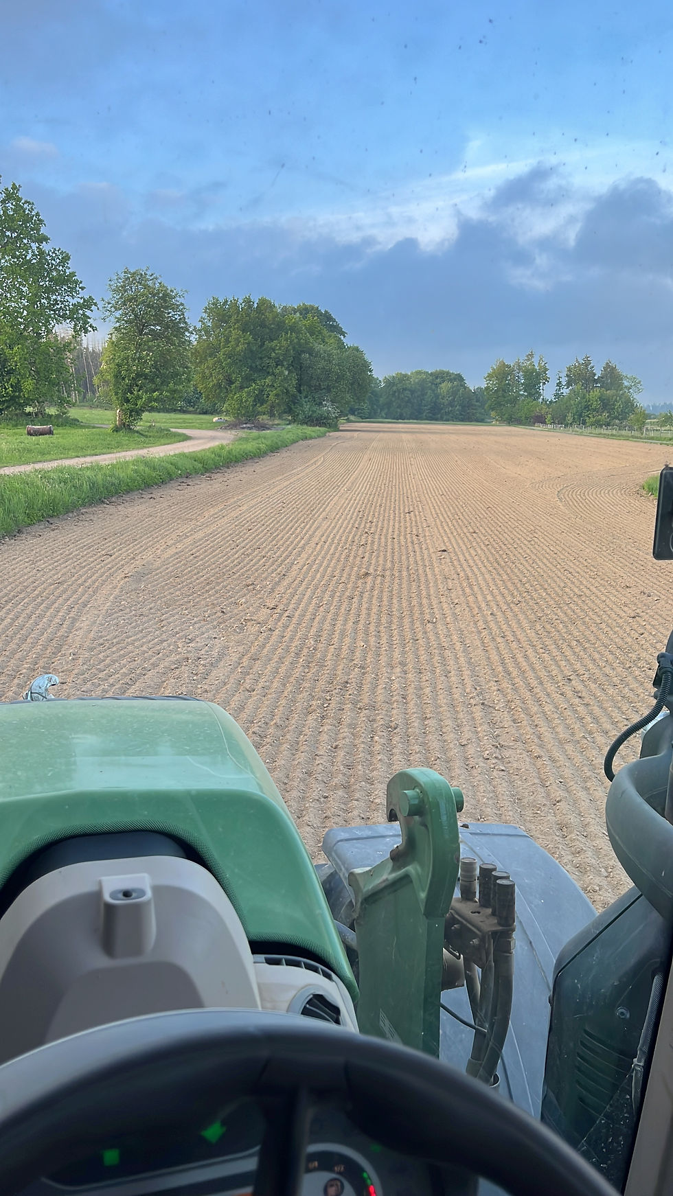 Blühfläche in Hakenberg in Waldnähe