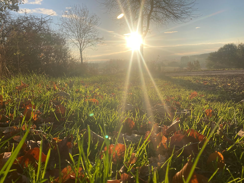 Miniaturbild: Für Mensch und Tier