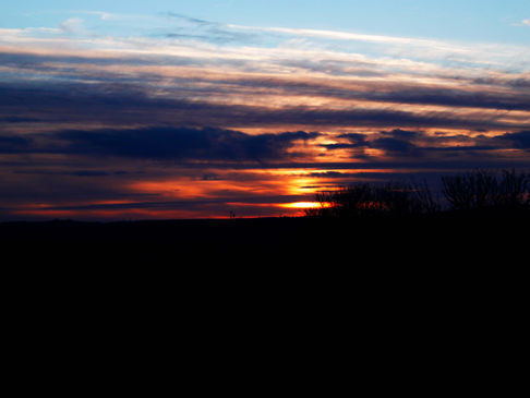 _MG_7485.jpg