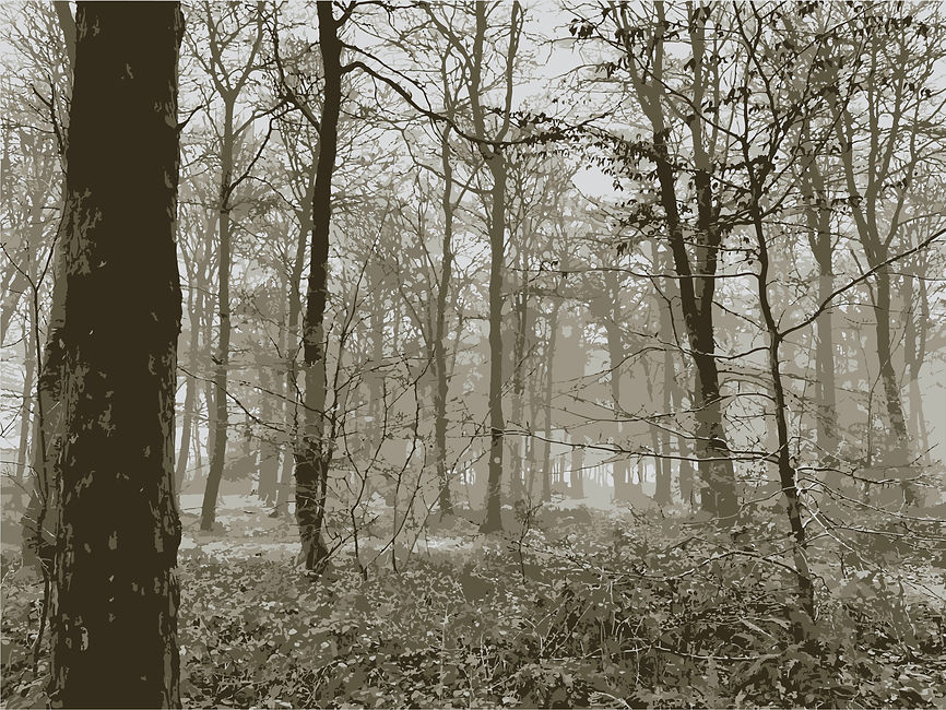 006-Woods.jpg