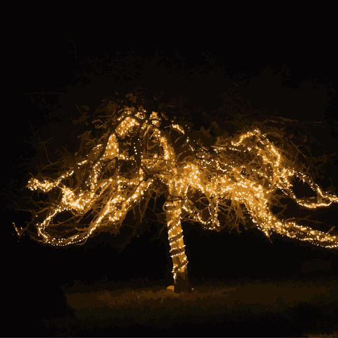 018-TreeLit-NWM.jpg