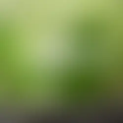 Syngenta