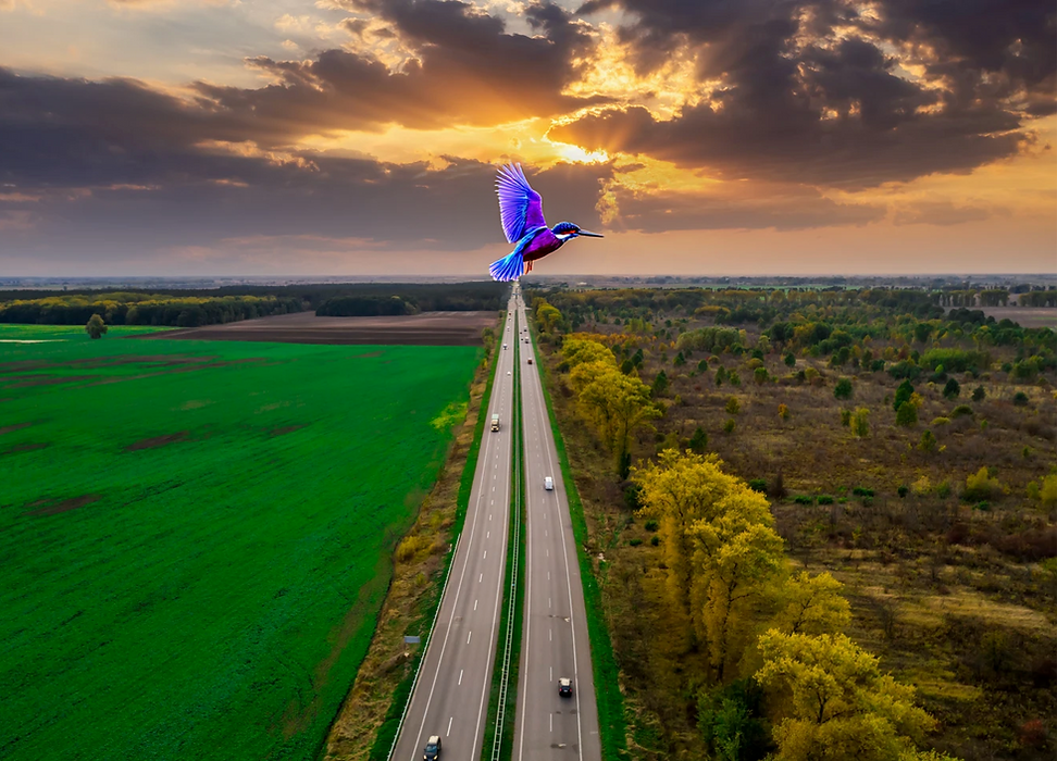 envato-labs-image-edit_edited.png