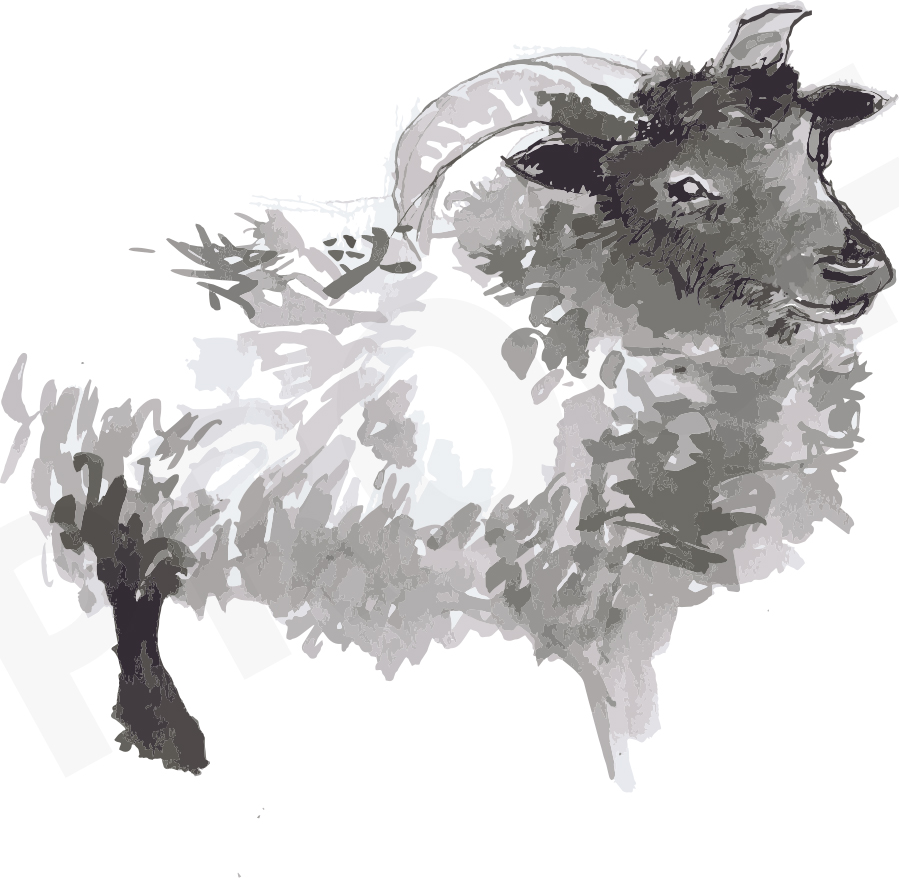 Monmouthshire Wool Review