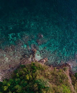 Shore Cliffs Philipinnes.jpg