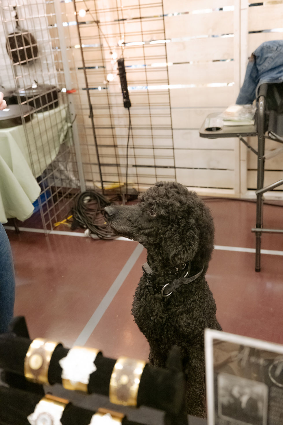 event photographer and social media manager specializing in covering markets and pop-ups from Kitsap County / Great Seattle Area captures a vintage market in Silverdale, WA