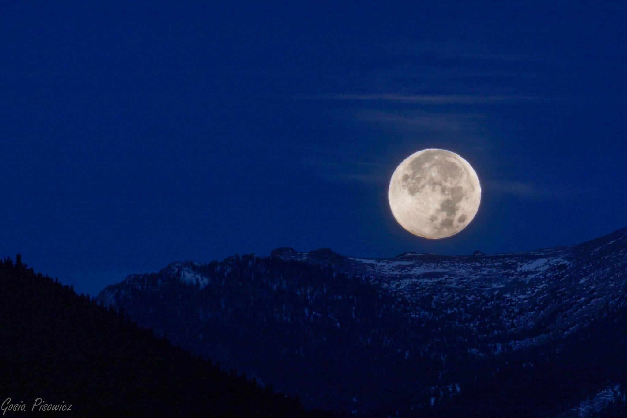 The Soul's Compass: The Power of Mystics, Artists & the Cosmos