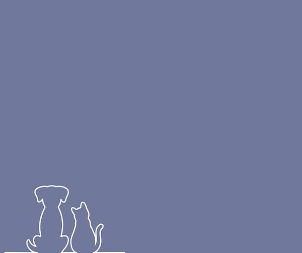 Chiens et chat
