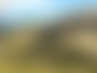 Question de vie ou de mort