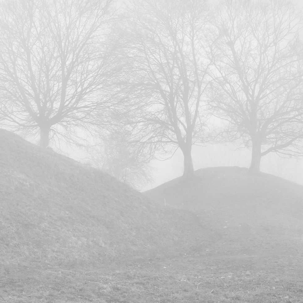 Three Trees