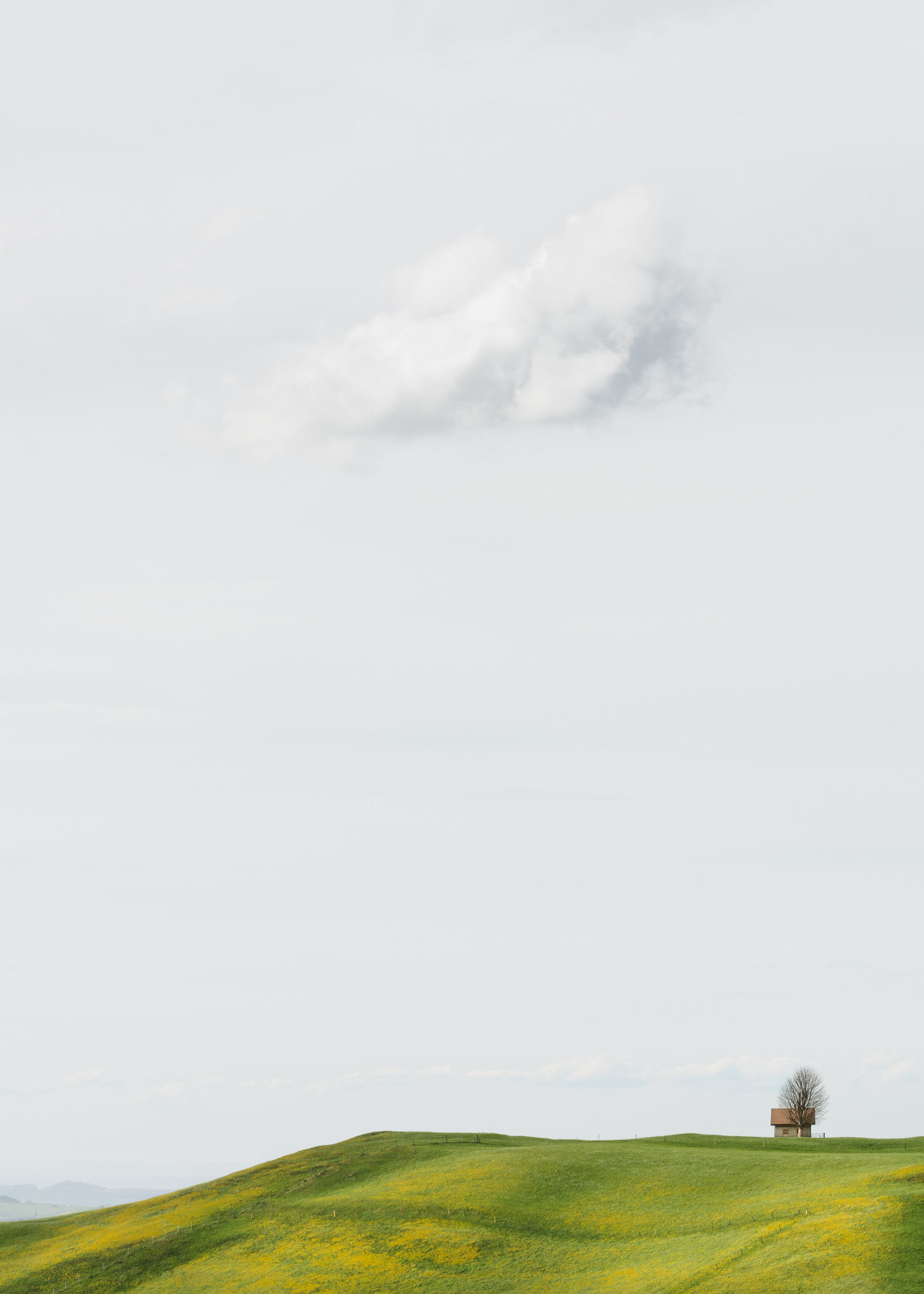 The Hut (Die Hütte)