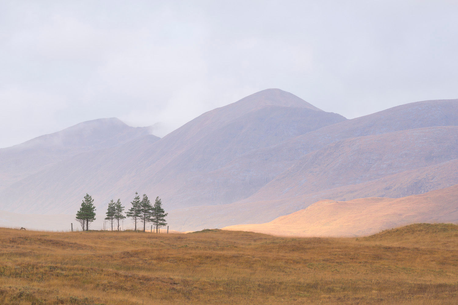Colors of Scotland (Farben Schottlands)