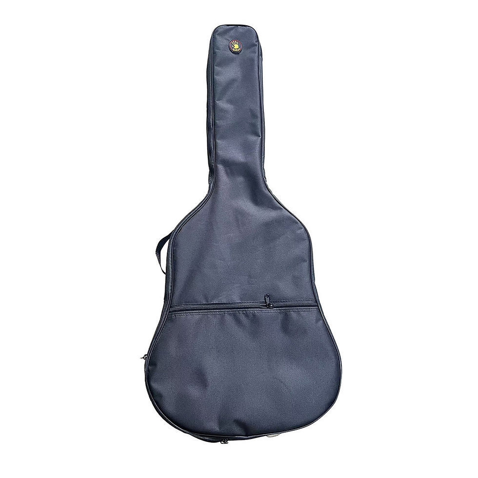 Miniatura: Guitarra Electroacústica Don José DJ-G395EQ