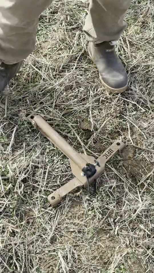 Thumbnail: Goose Flag Flapper