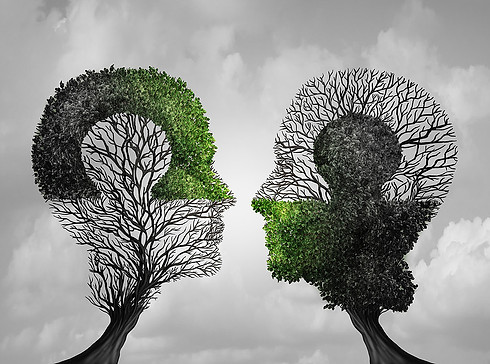 25af9b_78eac0ada35e4fc4aad6ebb0599bcb78~