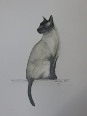 Portrait of a Siamese