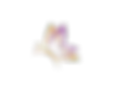 Icon1_edited (1).png