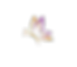 Icon1_edited (1).png